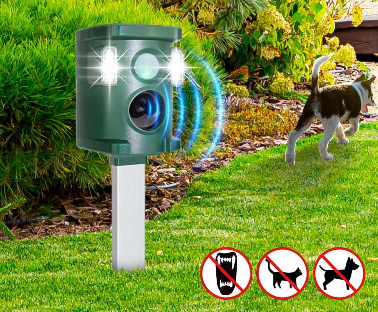 Dierenverjager Met Sensor