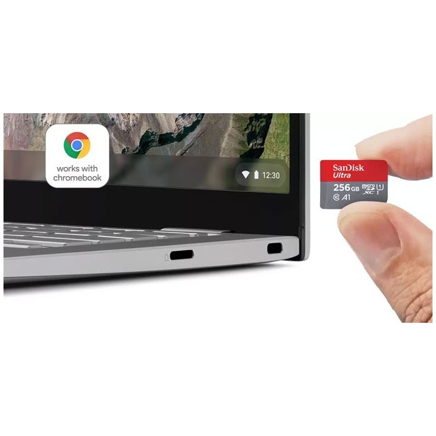 SanDisk MicroSDXC Ultra 256GB voor Chromebooks Micro SD-kaart Grijs